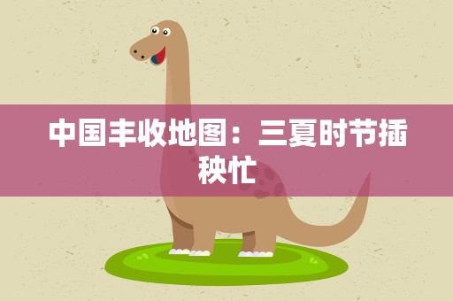 中国丰收地图：三夏时节插秧忙