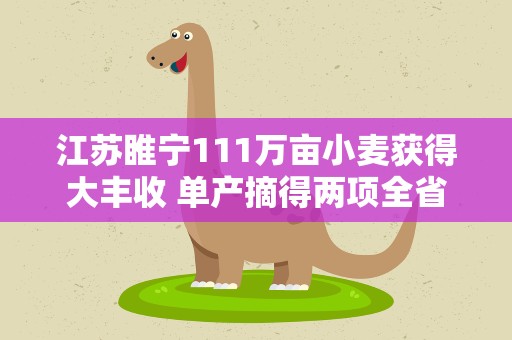 江苏睢宁111万亩小麦获得大丰收 单产摘得两项全省第一