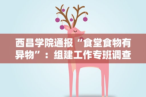 西昌学院通报“食堂食物有异物”：组建工作专班调查核实