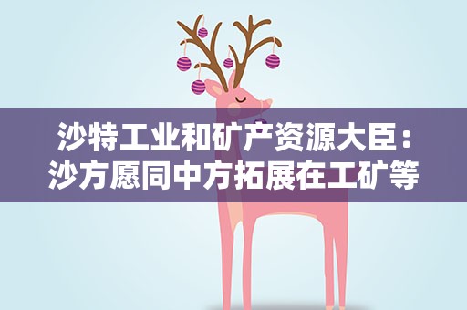 沙特工业和矿产资源大臣：沙方愿同中方拓展在工矿等领域合作