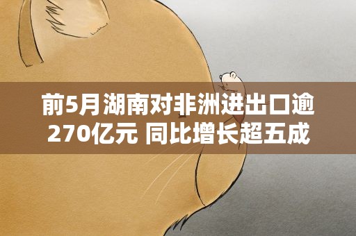 前5月湖南对非洲进出口逾270亿元 同比增长超五成