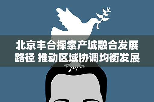 北京丰台探索产城融合发展路径 推动区域协调均衡发展
