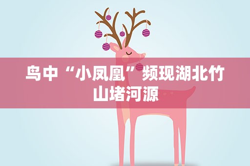 鸟中“小凤凰”频现湖北竹山堵河源