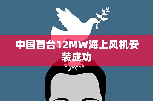 中国首台12MW海上风机安装成功