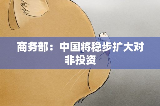 商务部：中国将稳步扩大对非投资