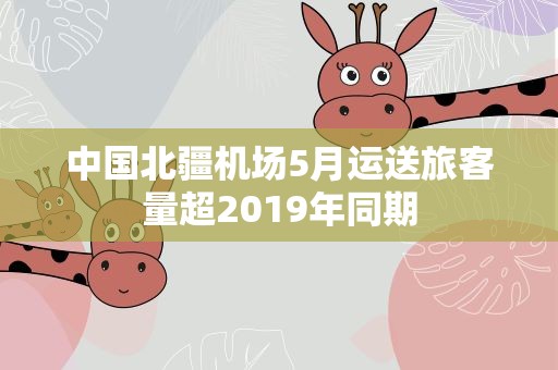 中国北疆机场5月运送旅客量超2019年同期