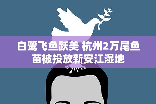 白鹭飞鱼跃美 杭州2万尾鱼苗被投放新安江湿地