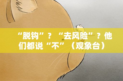 “脱钩”？“去风险”？他们都说“不”（观象台）
