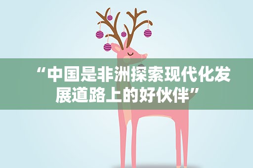 “中国是非洲探索现代化发展道路上的好伙伴”