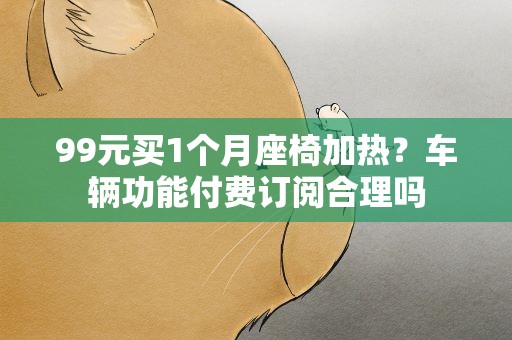 99元买1个月座椅加热？车辆功能付费订阅合理吗