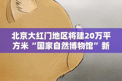 北京大红门地区将建20万平方米“国家自然博物馆”新馆