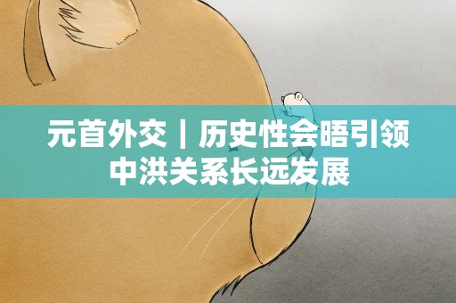 元首外交｜历史性会晤引领中洪关系长远发展
