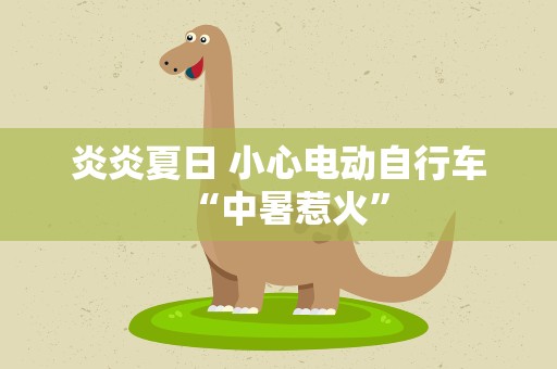 炎炎夏日 小心电动自行车“中暑惹火”