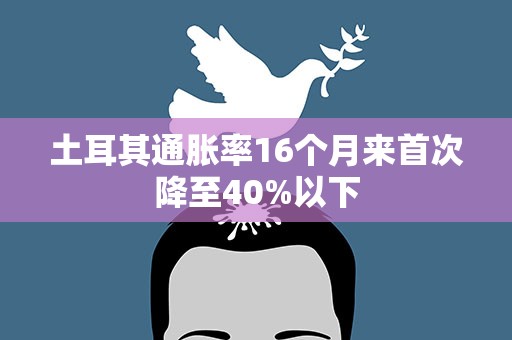 土耳其通胀率16个月来首次降至40%以下