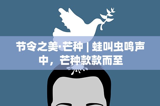 节令之美·芒种| 蛙叫虫鸣声中，芒种款款而至