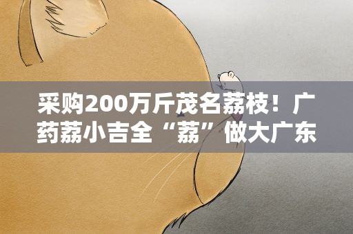 采购200万斤茂名荔枝！广药荔小吉全“荔”做大广东荔枝产业