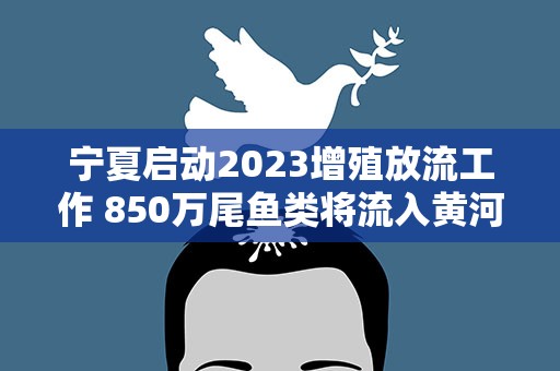宁夏启动2023增殖放流工作 850万尾鱼类将流入黄河流域