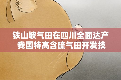铁山坡气田在四川全面达产 我国特高含硫气田开发技术实现新突破