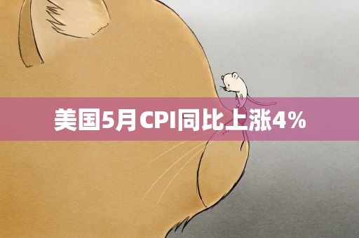 美国5月CPI同比上涨4%