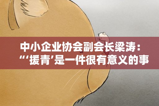 中小企业协会副会长梁涛：“‘援青’是一件很有意义的事 我们一直坚持在做”