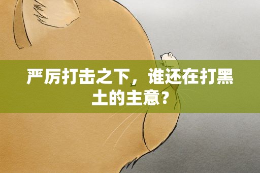 严厉打击之下，谁还在打黑土的主意？