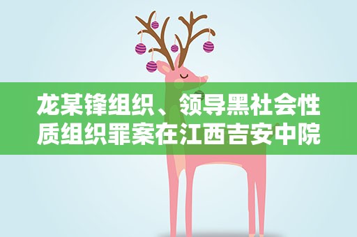 龙某锋组织、领导黑社会性质组织罪案在江西吉安中院一审开庭