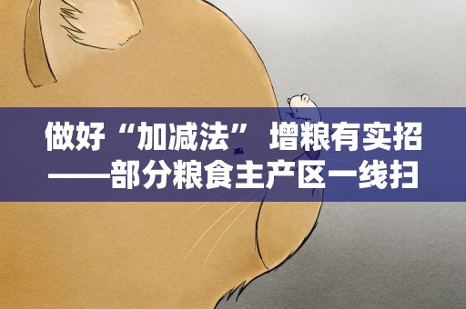 做好“加减法” 增粮有实招——部分粮食主产区一线扫描