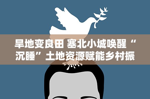 旱地变良田 塞北小城唤醒“沉睡”土地资源赋能乡村振兴