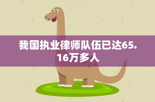 我国执业律师队伍已达65.16万多人