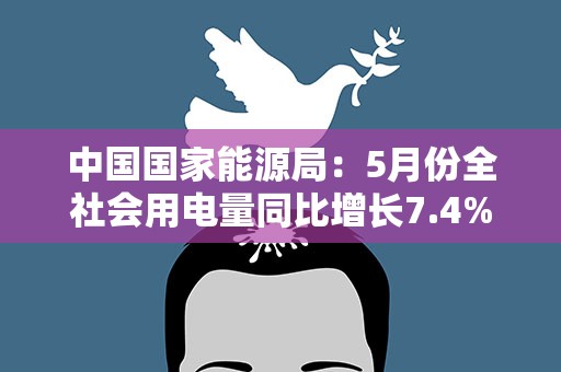 中国国家能源局：5月份全社会用电量同比增长7.4%