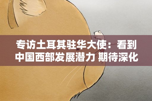 专访土耳其驻华大使：看到中国西部发展潜力 期待深化两国关系