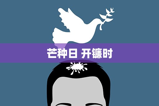 芒种日 开镰时