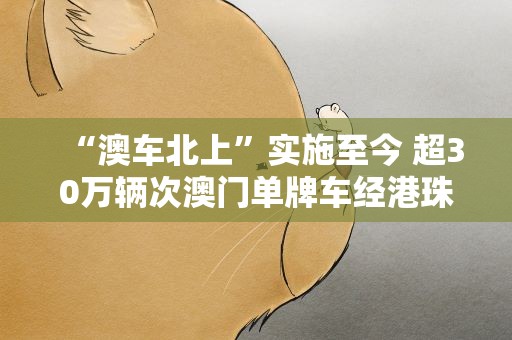 “澳车北上”实施至今 超30万辆次澳门单牌车经港珠澳大桥进出境