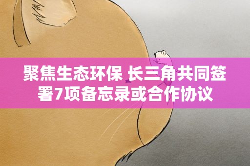 聚焦生态环保 长三角共同签署7项备忘录或合作协议