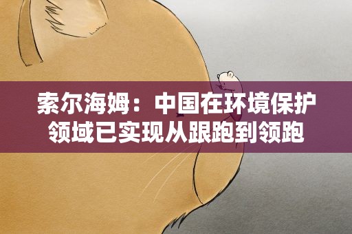 索尔海姆：中国在环境保护领域已实现从跟跑到领跑