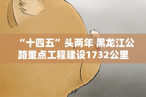 “十四五”头两年 黑龙江公路重点工程建设1732公里