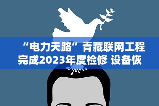 “电力天路”青藏联网工程完成2023年度检修 设备恢复供电