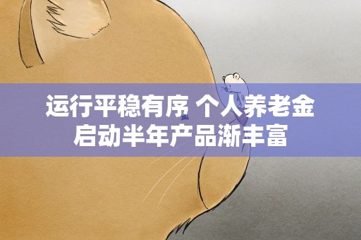 运行平稳有序 个人养老金启动半年产品渐丰富
