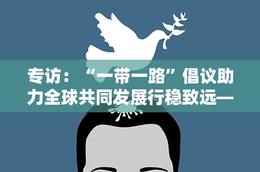 专访：“一带一路”倡议助力全球共同发展行稳致远——访瑞典“一带一路”研究所副所长阿斯卡里