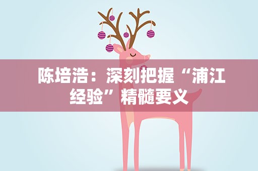  陈培浩：深刻把握“浦江经验”精髓要义