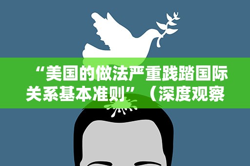 “美国的做法严重践踏国际关系基本准则”（深度观察）