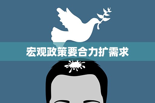宏观政策要合力扩需求