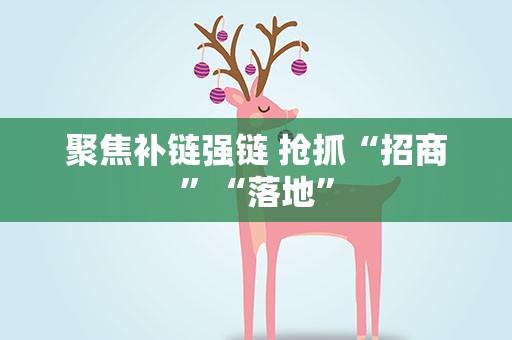 聚焦补链强链 抢抓“招商”“落地”