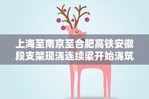 上海至南京至合肥高铁安徽段支架现浇连续梁开始浇筑