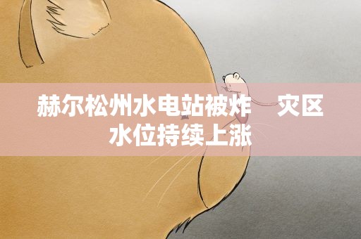 赫尔松州水电站被炸　灾区水位持续上涨