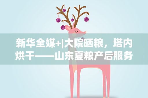 新华全媒+|大院晒粮，塔内烘干——山东夏粮产后服务见闻