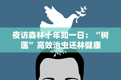 夜访森林十年如一日：“树医”高效治虫还林健康