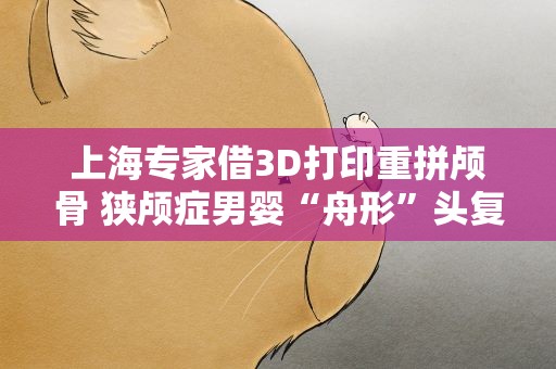上海专家借3D打印重拼颅骨 狭颅症男婴“舟形”头复圆