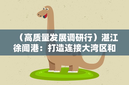 （高质量发展调研行）湛江徐闻港：打造连接大湾区和海南现代化交通枢纽
