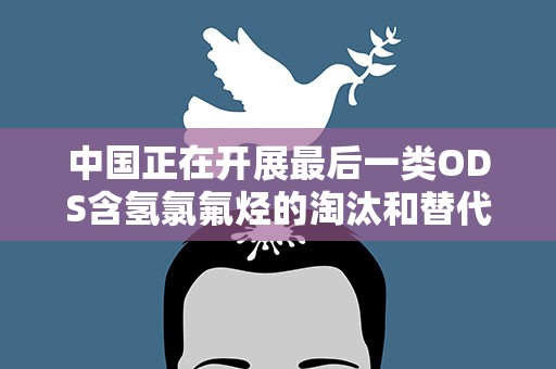 中国正在开展最后一类ODS含氢氯氟烃的淘汰和替代工作